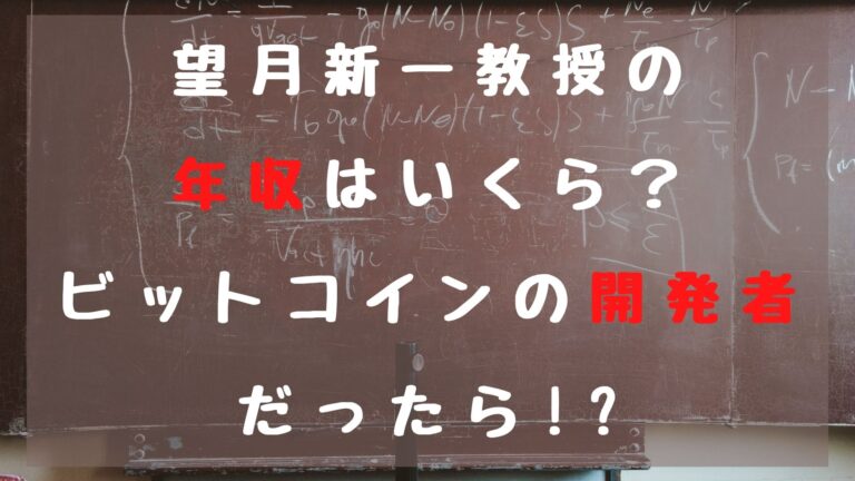 望月新一の年収はいくら もしビットコイン開発者なら億万長者確定 1651blog ひろこいぶろく